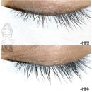 디바브로우 이미지