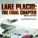 플래시드인 이미지