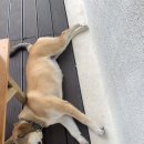 조브라더스 게스트하우스 이미지