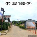 중기마을입구세천 | 경주 교촌마을을 돌아보다/최부자댁 경주향교 월영교 석등있는집 대몽재 주차정보