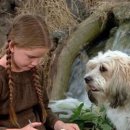 초원의 집 이미지