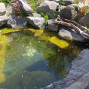 감인의료재단 청라백세요양병원 이미지