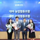 김영일 사무소 이미지