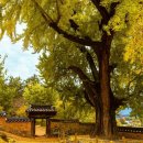비밀정원 - 은평구 대서문길 36 | 비밀정원