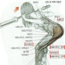 굿모닝피티 이미지