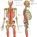엑셀휘트니스 이미지