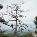 만대산 이미지