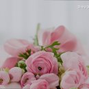 한사랑요양병원 | 더 잘 모시는 추천 동대문구 요양원 한사랑실버케어 전문가가 상주하는 요양원