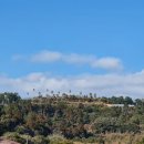 올레길국수 이미지