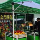 제일청과 이미지
