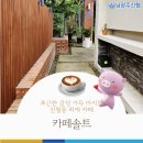 농협 남광주지점 | 마음까지 포근해지는 감성 가득 아지트 [카페 솔트] 남광주신협 진월푸른길점 어부바플랜 협약처