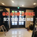 청주 유리 상가 현관문 고무패드 시공으로 모기 벌레 유입 해결