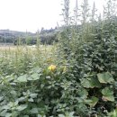 율촌농장 이미지