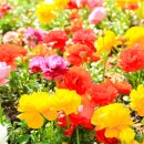 남해-127 이미지