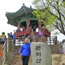 부천 원미산 진달래축제 이미지