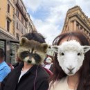 EG투어버스 J코스 | [로마] 아이러브로마 버스투어 대만족후기 여행마지막날 관광지 총정리 코스로 추천!!