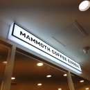 매머드 익스프레스 광화문오피시아점