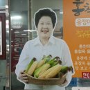 대운올챙이 이미지