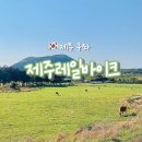 제주 동쪽 여행 🍊 - 제주레일바이크 후기
