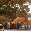 호서대입구 이미지