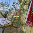 오렌지 칠(orange chill) 이미지