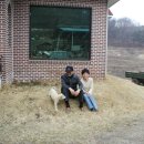 길평목장 이미지