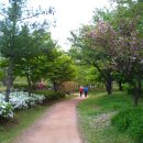 담배인삼공사건너 | 나의 산책길을 소개합니다