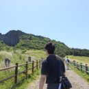 제주도흑돼지꿈마차 | 제주 '성산일출봉' 정상 찍고 점심으로 흑돼지 수제버거 추천 #내돈내산맛집