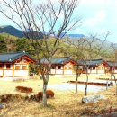 농월정야영장 이미지