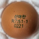 산야유정란 이미지