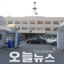 보령산양산삼 이미지