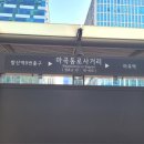 엘스타뷰티