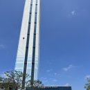 충남 아산 곤충생태원 볼거리와 체험존이 가득해요 (feat. 아산그린타워전망대와 세미물놀이까지)