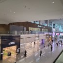 비알배스킨라빈스인천공항터미널 | 인천공항 2터미널 삼성 아멕스 혜택 뽕 뽑고 온 날 ✈️ 마티나 라운지 + 무료 아메리카노