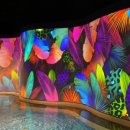 워터하우스 이미지