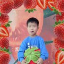 [5월3주] 🍅다정반 레드데이🍓 이미지