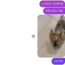 다니엘썬팅 | 5학년 2반