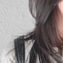 헤어살롱라포 - 수성구 | 헤어살롱라포