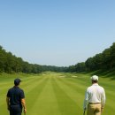 늘푸른참가자미횟집 이미지