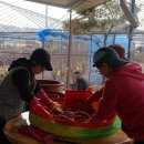 장통밥상 이미지