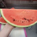 무지개청과 - 용인시 처인구 동부로 513 | 무지개청과