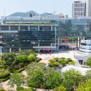 부산 더코리아