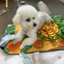 유니독스 이미지