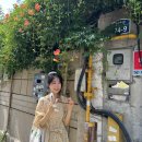 안국상사 이미지