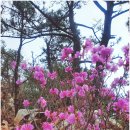 북일면사무소 | 해남 주작산 (오소재 주차장~신동마을 삼거리~육상동계훈련소 삼거리~관악사 삼거리~주작산 삼거리...