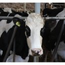 송선2리 이미지