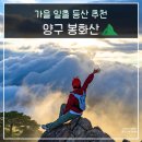 구름주유소 | 양구 봉화산 운해 일출 최단 초보 등산 코스 후기