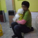 퍼피스쿨 이미지