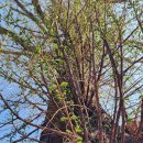 새순카센타 이미지