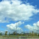 세종시청 후문 이미지